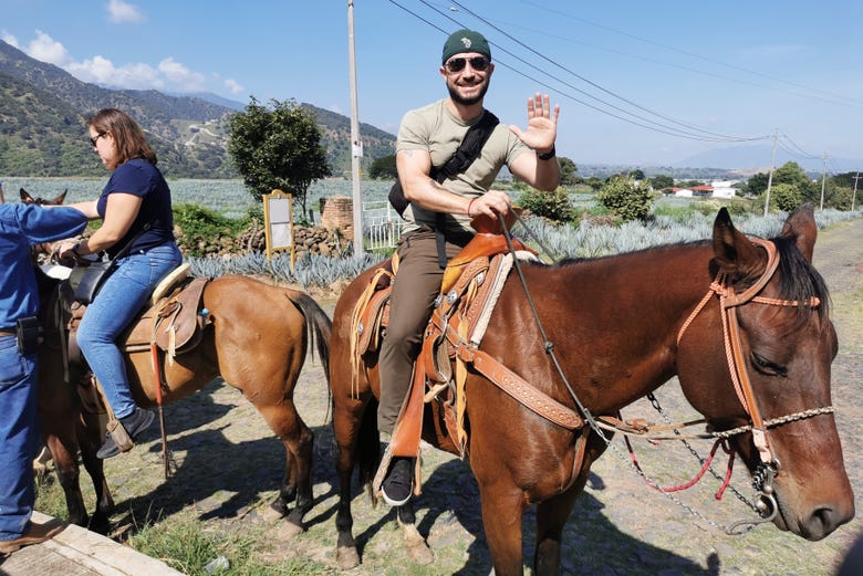 Paseo a caballo por Tequila + Visita a una destilería con cata