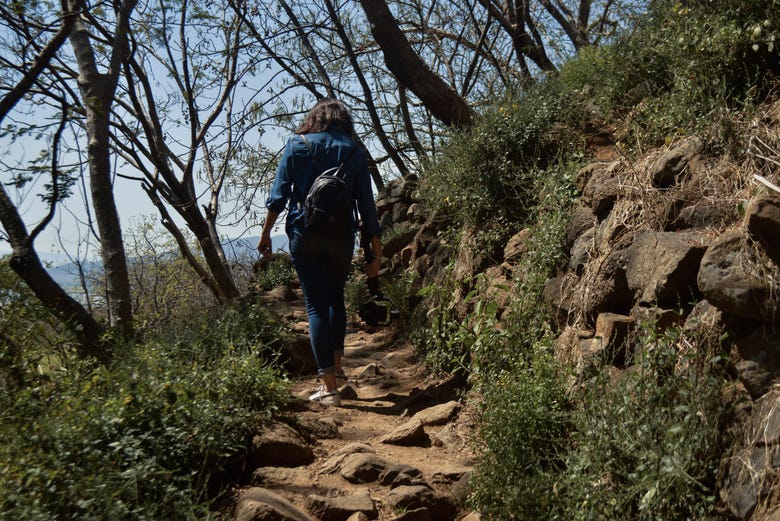 Excursión a Guachimontones