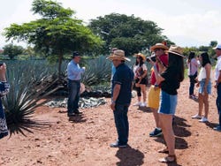 Excursión a Tequila