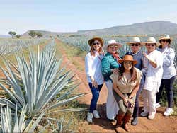 Tour por Tequila y Guachimontones con 3 noches de alojamiento