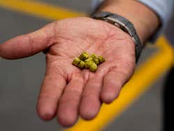 Visita a la cervecería Fortuna y la destilería La Rojeña