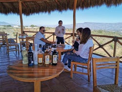 Excursión a Tequila con visita a una destilería y degustación