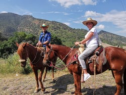 Paseo a caballo por Tequila + Visita a una destilería con cata