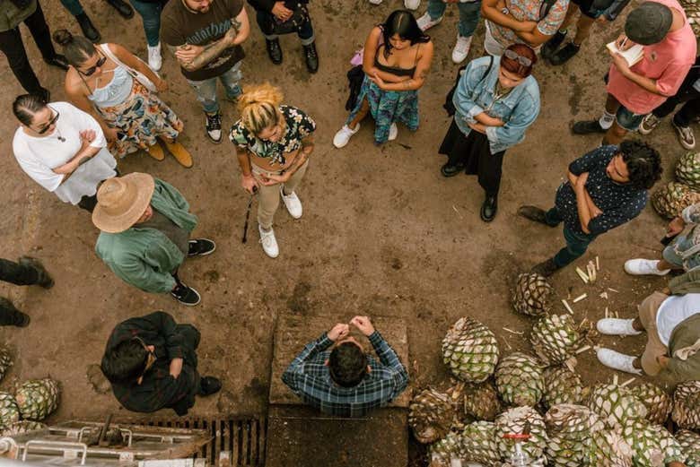 Visita a las destilerías Tequila Selecto y El Cascahuín