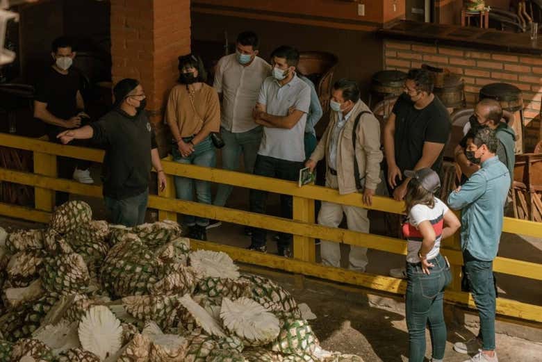 Visita a las destilerías Tequila Selecto y El Cascahuín
