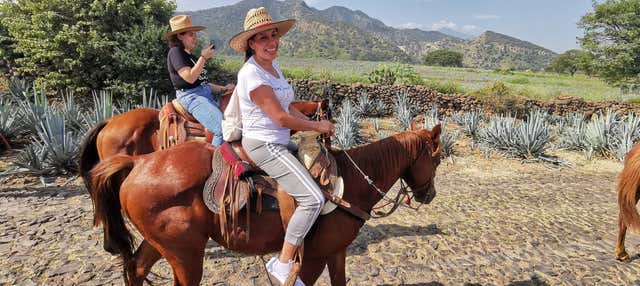 Passeggiata a cavallo a Tequila + Visita a una distilleria con degustazione