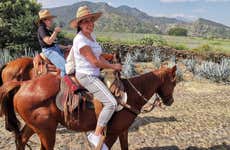 Horseback Riding in Tequila & Distillery Visit with Tasting