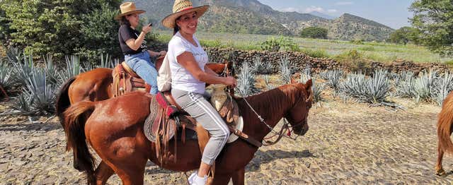 Balade à cheval à Tequila + Visite d'une distillerie avec dégustation