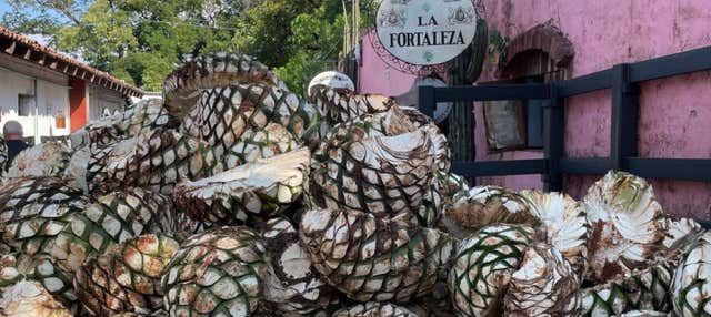 La Fortaleza Tequila Distillery Private Tour
