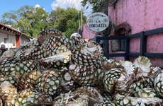La Fortaleza Tequila Distillery Private Tour