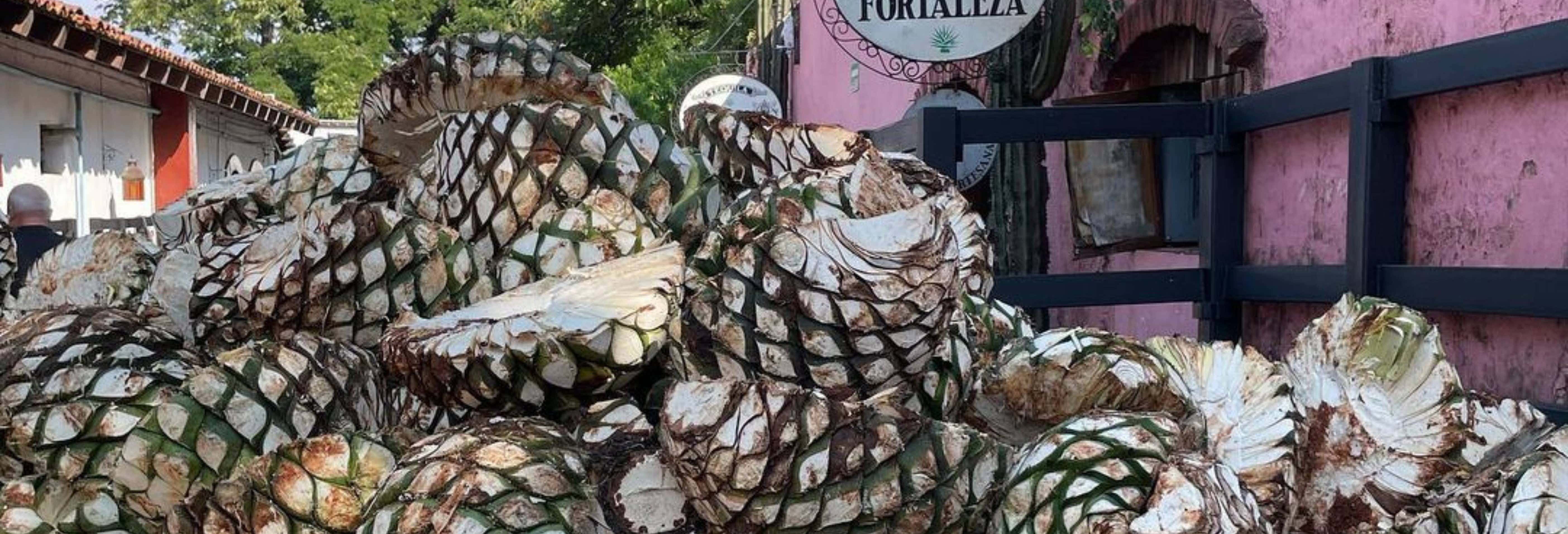 Tour privado por la destilería de tequila La Fortaleza