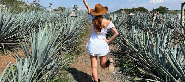 Tour por Tequila y Guachimontones con 3 noches de alojamiento