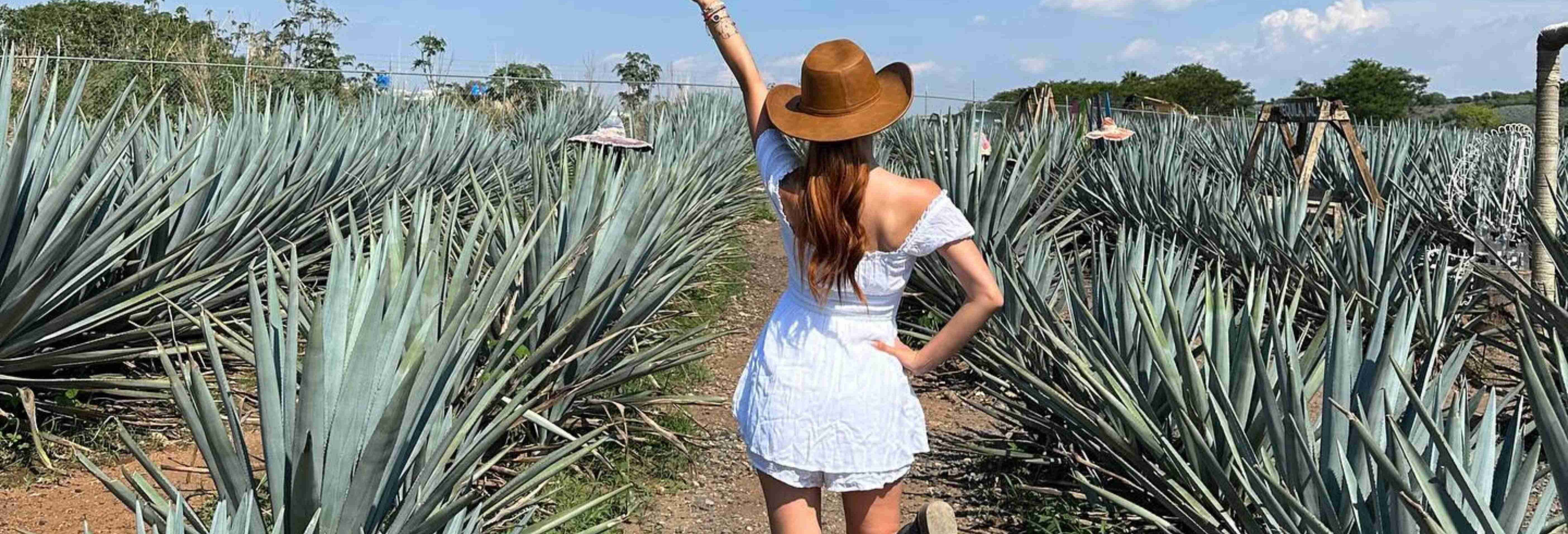 Tour por Tequila y Guachimontones con 3 noches de alojamiento