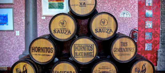 Visita alla distilleria Casa Sauza + Spettacolo di balletto folcloristico