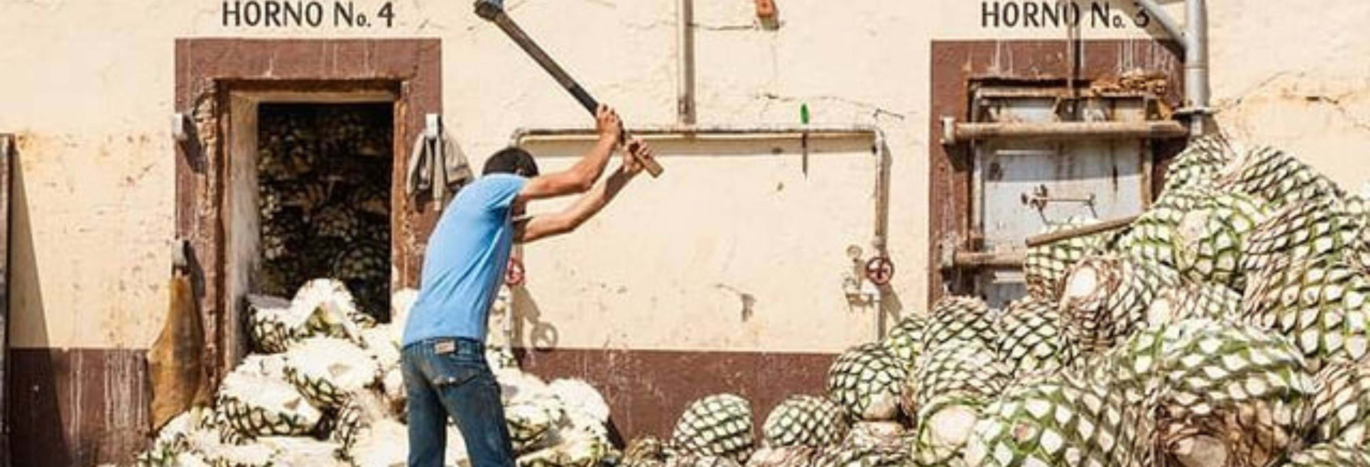 Visita a las destilerías Tequila Selecto y El Cascahuín
