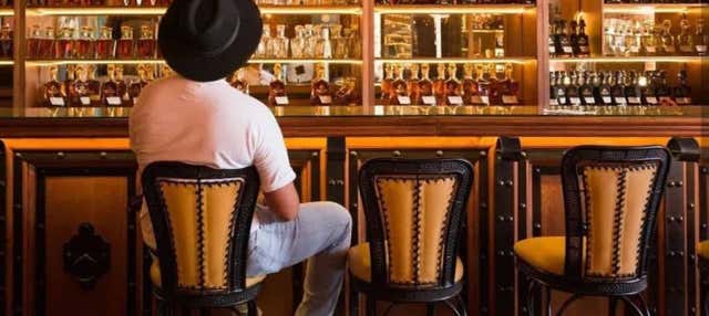 Visita delle distillerie Tequila Selecto ed El Castillo de Tequila