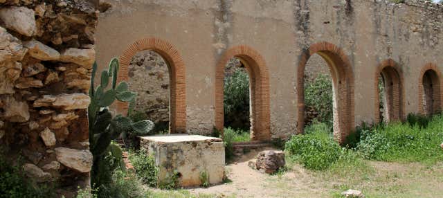 Escursione privata a Mineral de Pozos