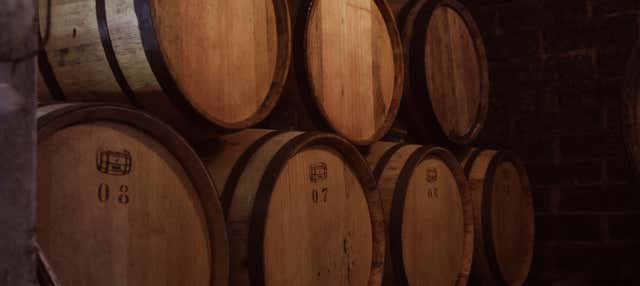 Escursione privata alla distilleria di tequila Corralejo e alla zona archeologica di Plazuelas