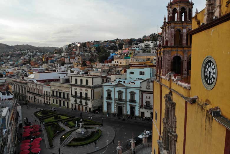Imagen 6