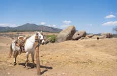 Sierra de Santa Rosa Horse Riding Tour