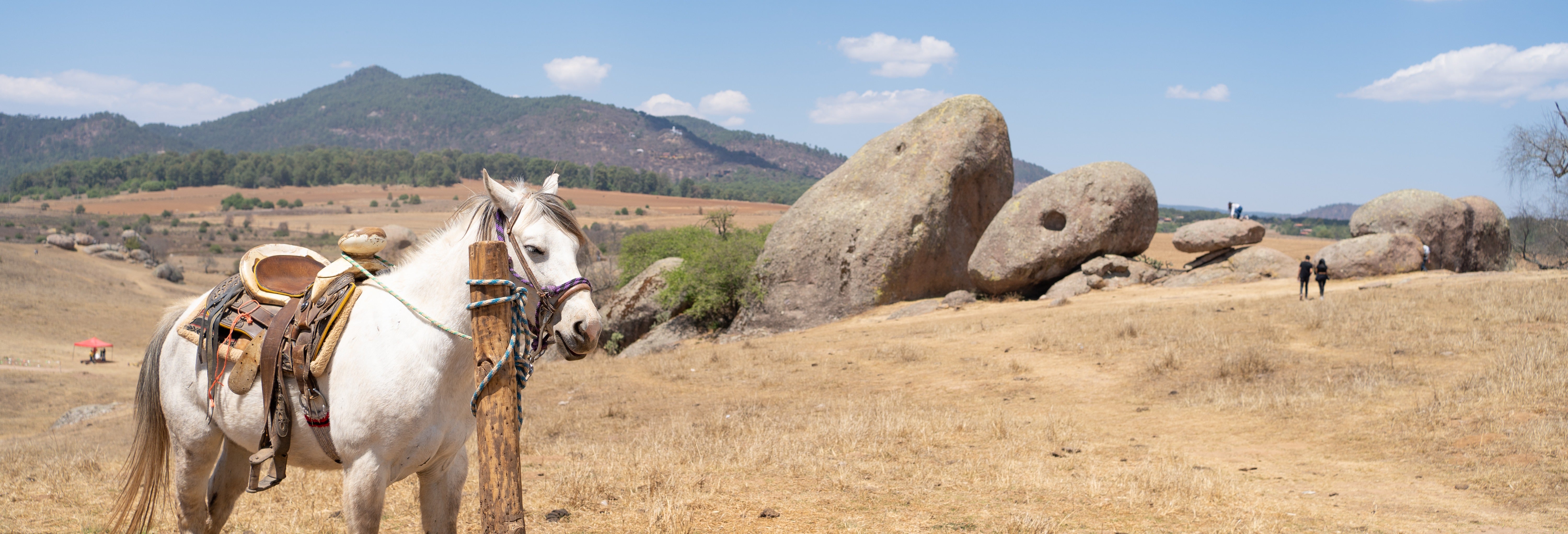 Sierra de Santa Rosa Horse Riding Tour