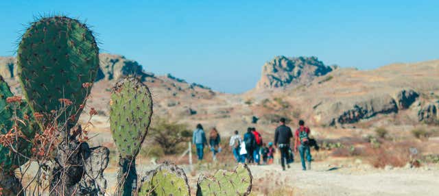 Trekking a Guanajuato