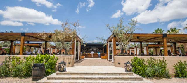 Visita a un vigneto di San Miguel de Allende