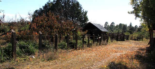 Escursione di 2 giorni al bosco di Yécora