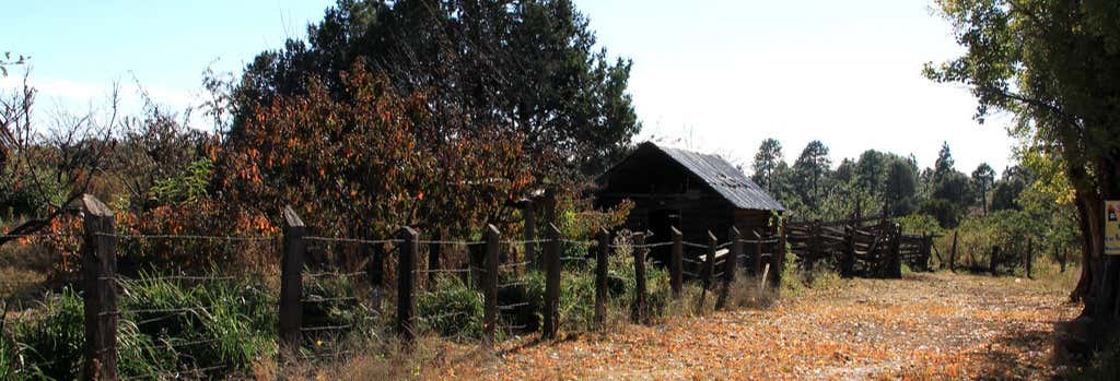 Yécora Forest 2-Day Excursion