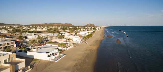 Escursione a Bahía de Kino