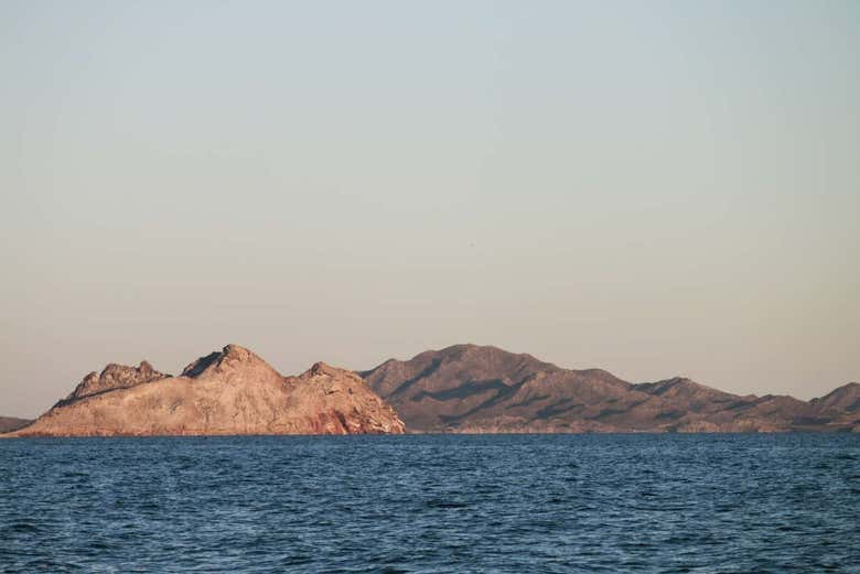 Imagen 8