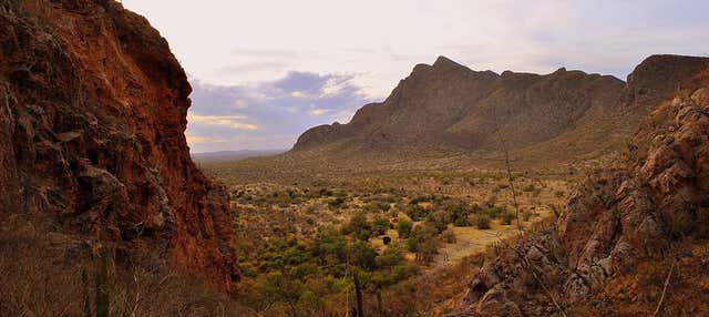 Trekking alle pitture rupestri di La Pintada