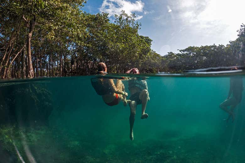 Imagen de Tour en lancha por la laguna Yalahau y su cenote