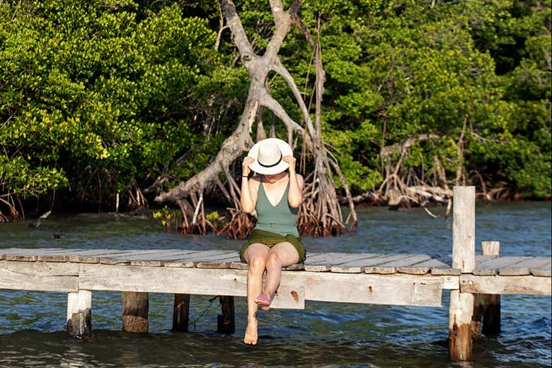Imagen de Tour en lancha por la laguna Yalahau y su cenote