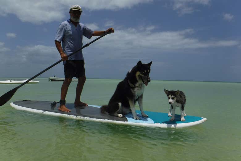 Paddle surf en Holbox