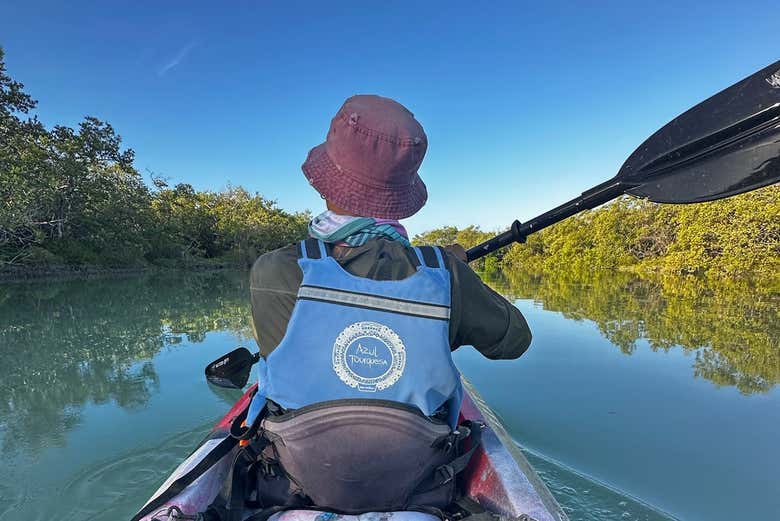 Imagen de Tour en kayak por Holbox