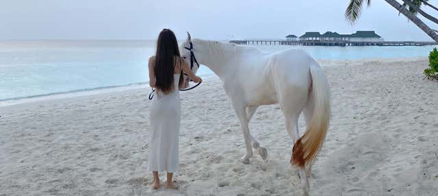 Passeggiata a cavallo a Holbox