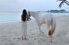 Horse Riding In Holbox
