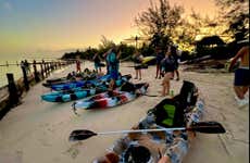 Holbox Mangroves Kayak Tour