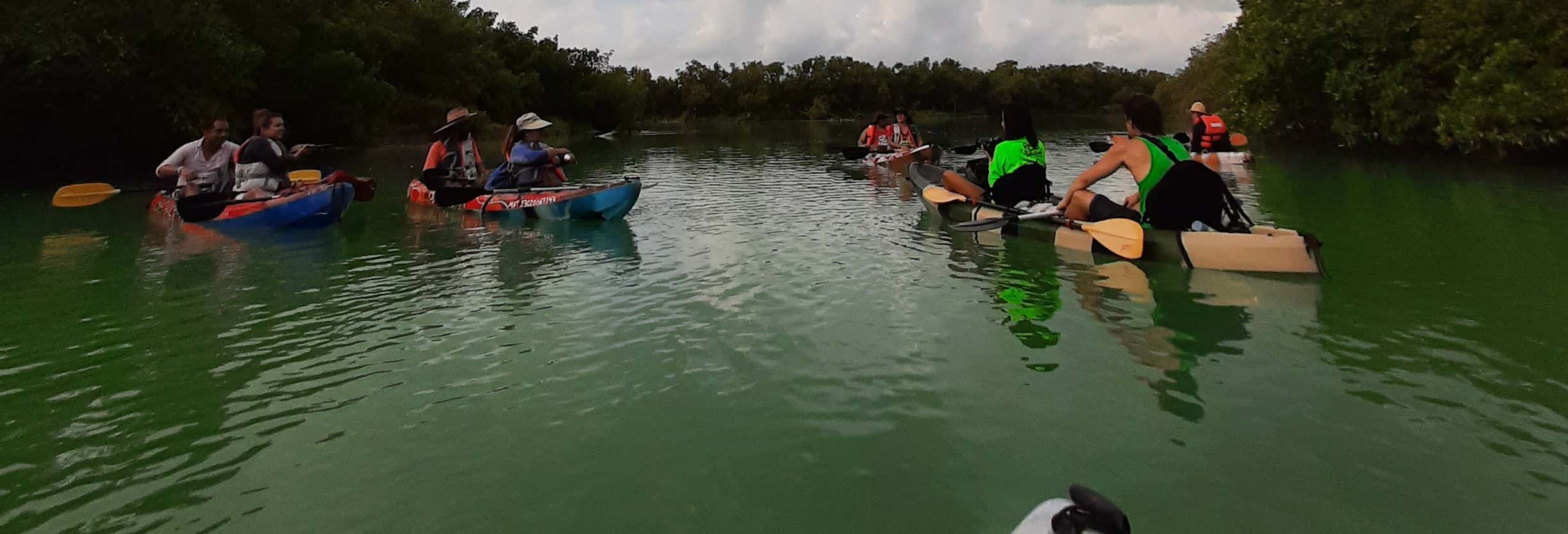 Kayak Tour in Holbox