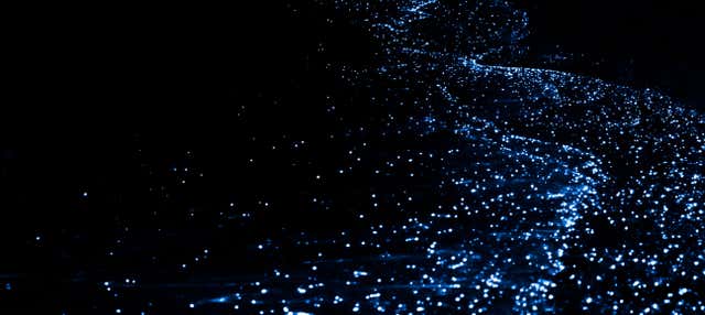 Tour del plancton luminoso in kayak