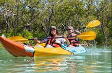 Private Tour of Holbox