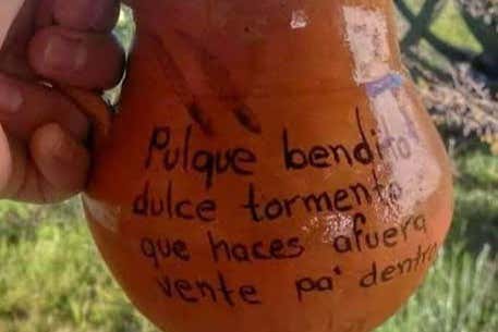 Imagen 6