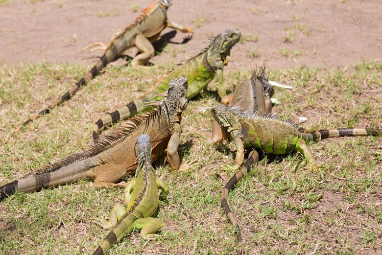 Tour por Ventanilla, Mazunte y Zipolite