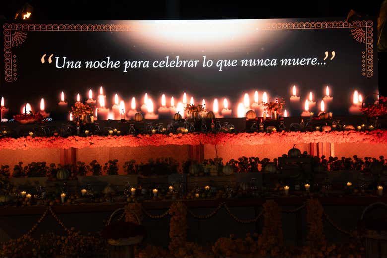 Imagen 13
