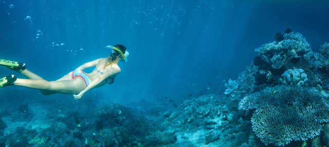 Snorkeling a Huatulco