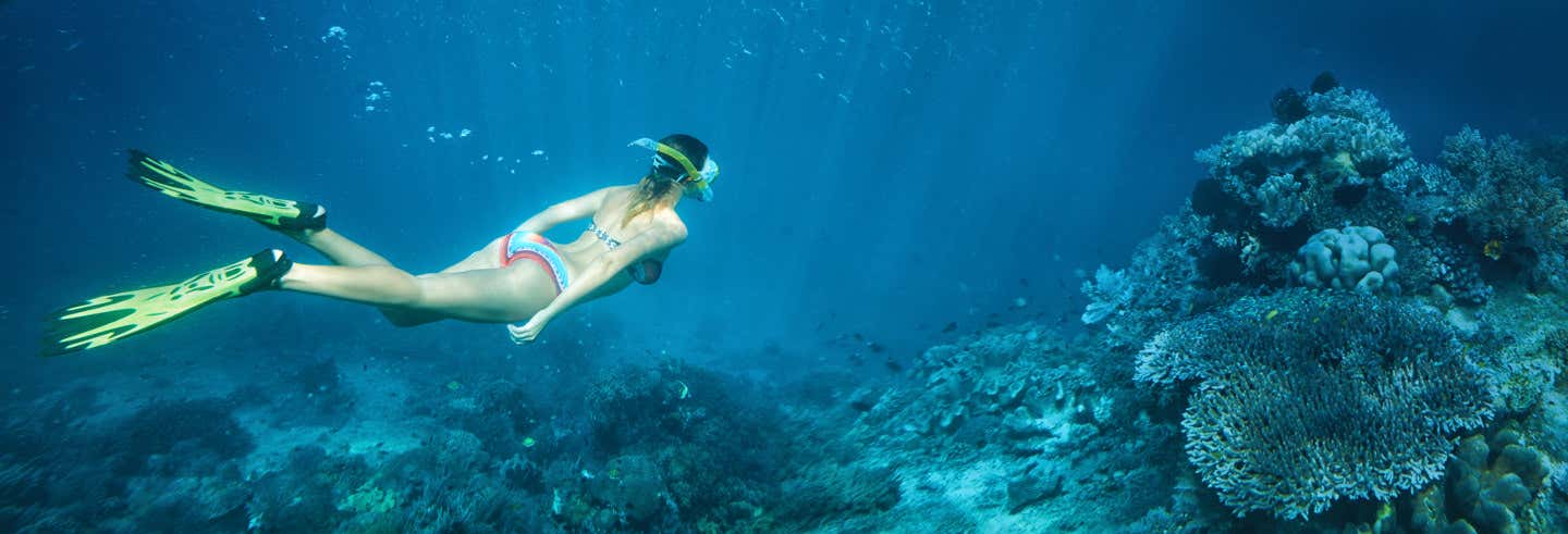 Snorkeling a Huatulco