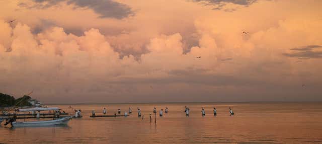 Giro in barca sulla laguna di Términos