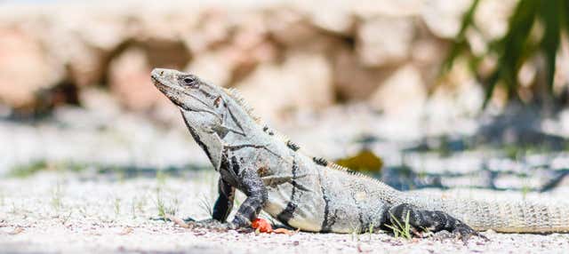 Tour di 2 giorni al centro Wotoch Aayin