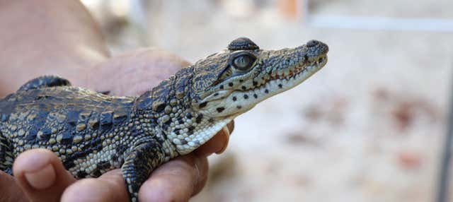 Visita al centro Wotoch Aayin